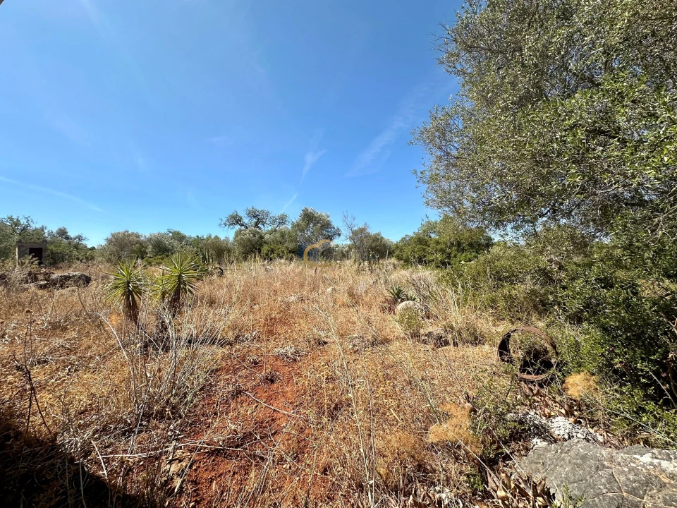 Terreno para Venda em São Bartolomeu de Messines Foto 20