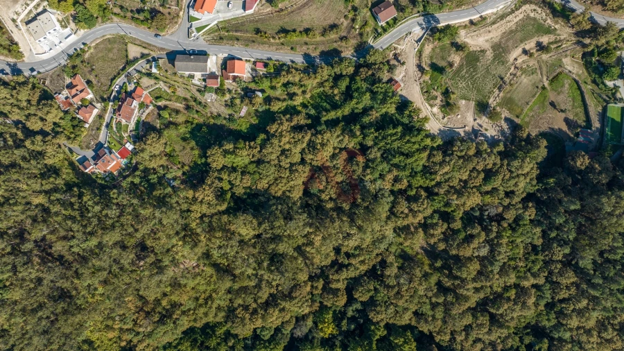 Terreno Agricola ou Rústico para Venda em Armil Foto 10