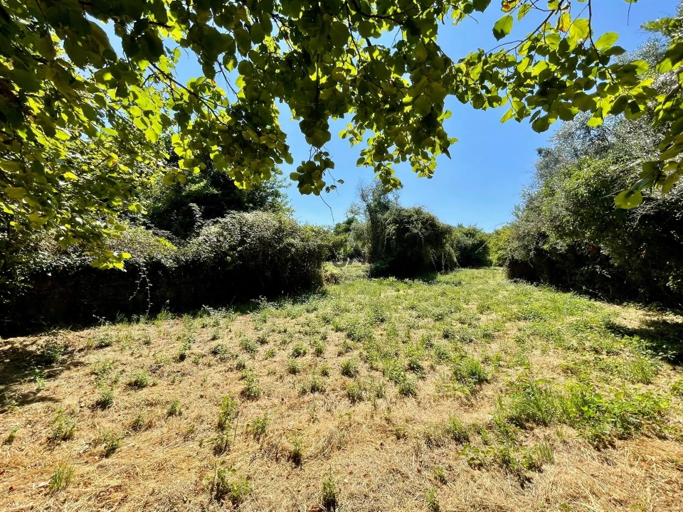 Terreno para Venda em Mangualde, Mesquitela e Cunha Alta Foto 7