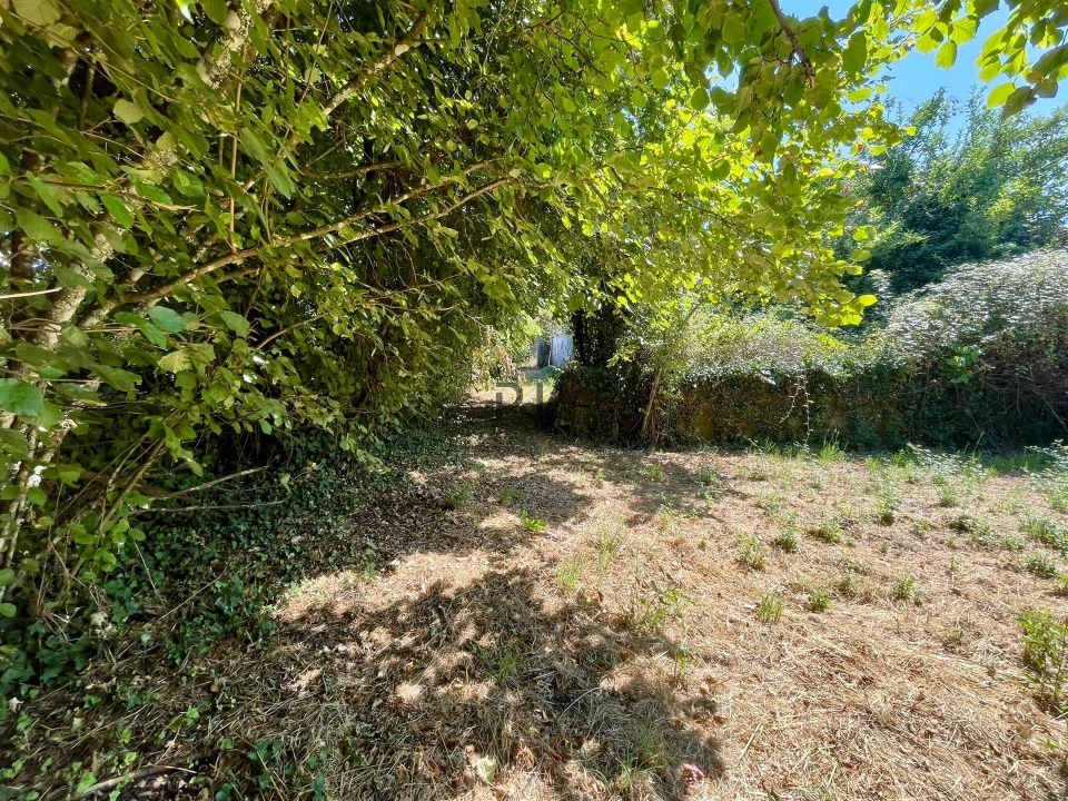 Terreno para Venda em Mangualde, Mesquitela e Cunha Alta Foto 4