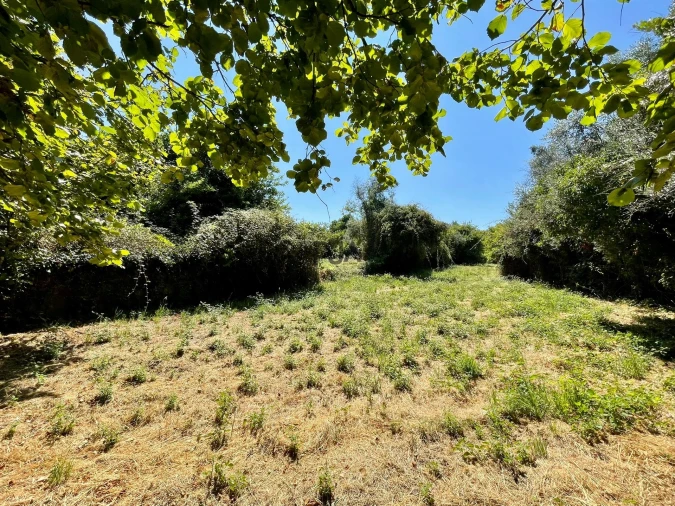 Terreno para Venda em Mangualde, Mesquitela e Cunha Alta Foto 7