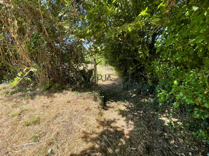Terreno para Venda em Mangualde, Mesquitela e Cunha Alta Foto 6