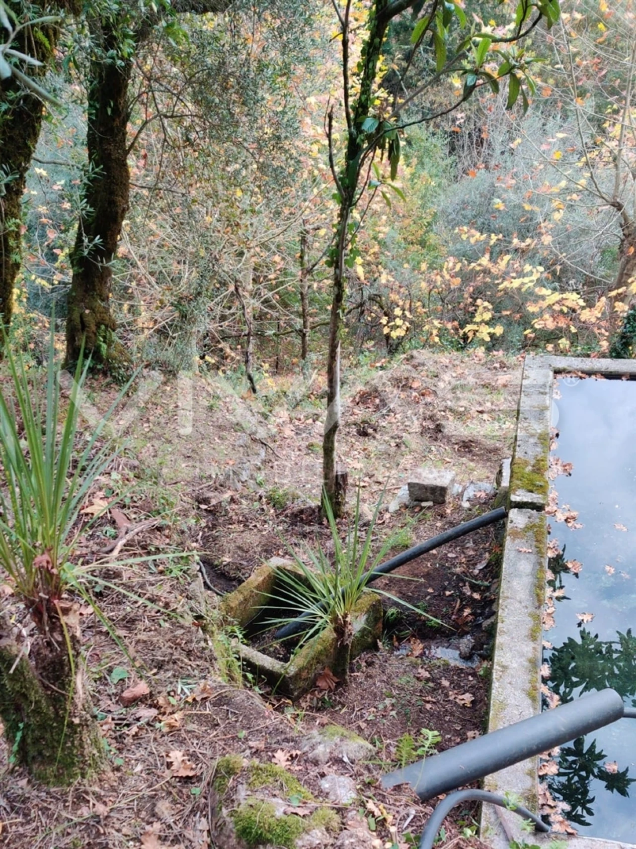 Moradia T1 para Venda em Valdosende Foto 56