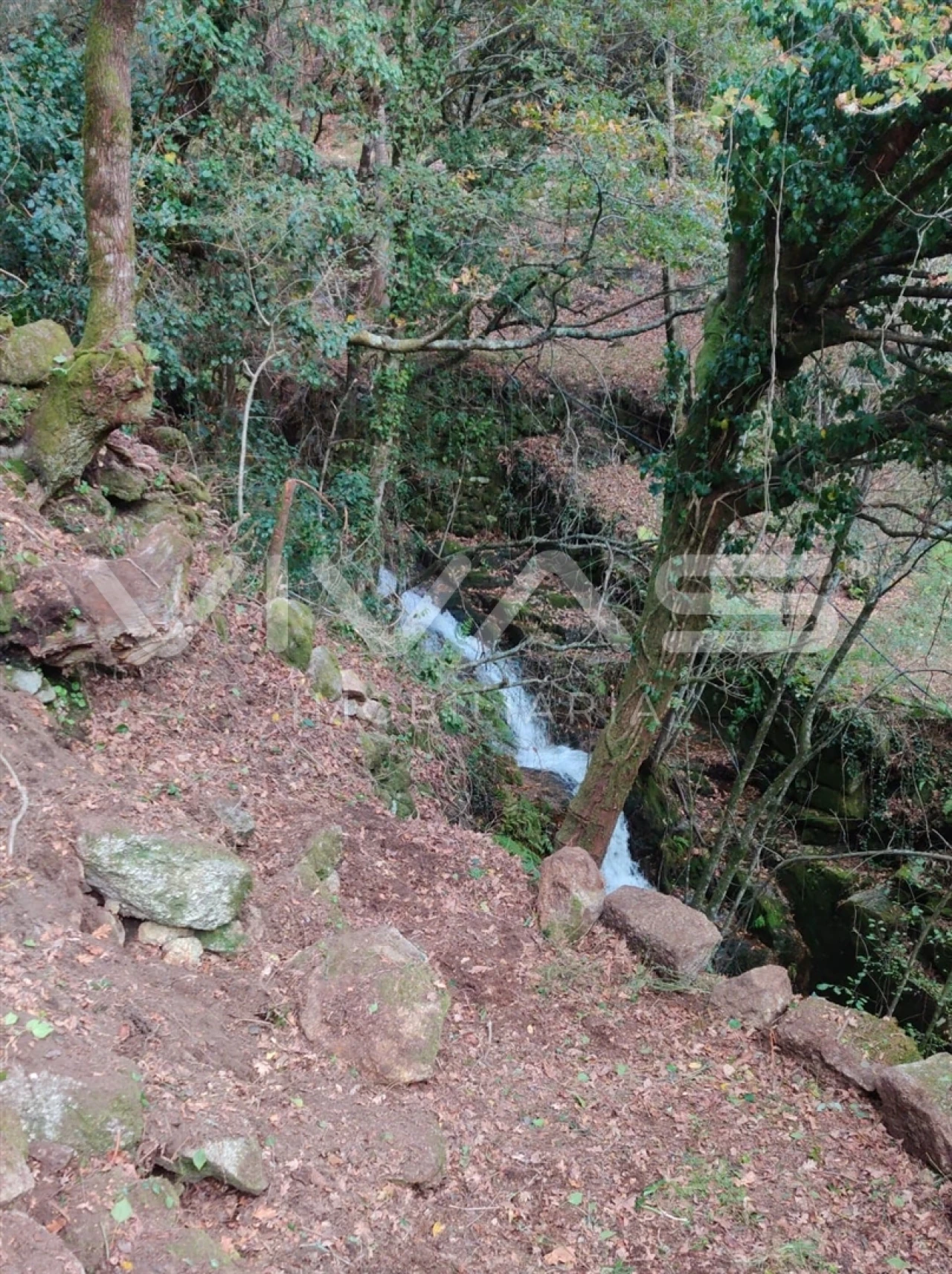 Moradia T1 para Venda em Valdosende Foto 39