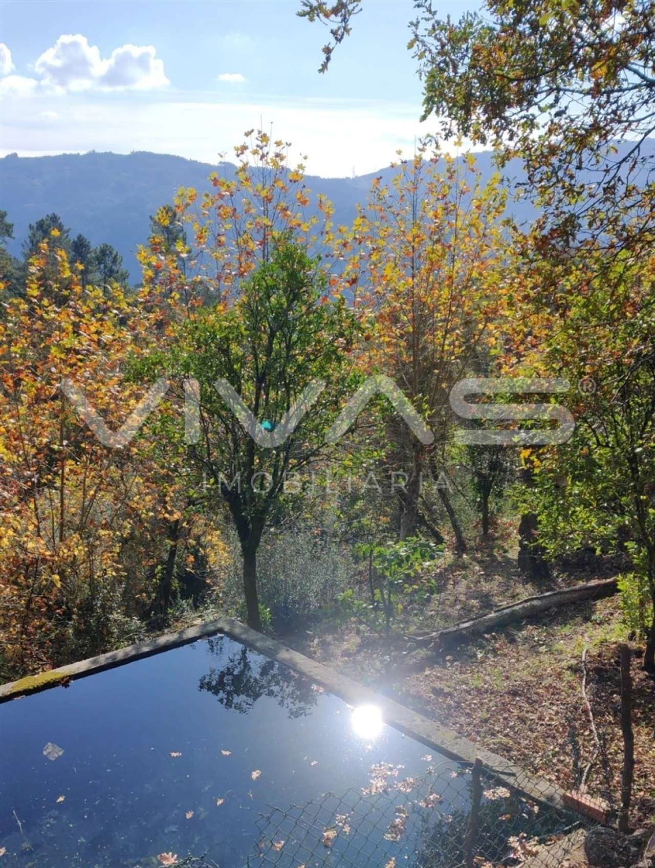 Moradia T1 para Venda em Valdosende Foto 36