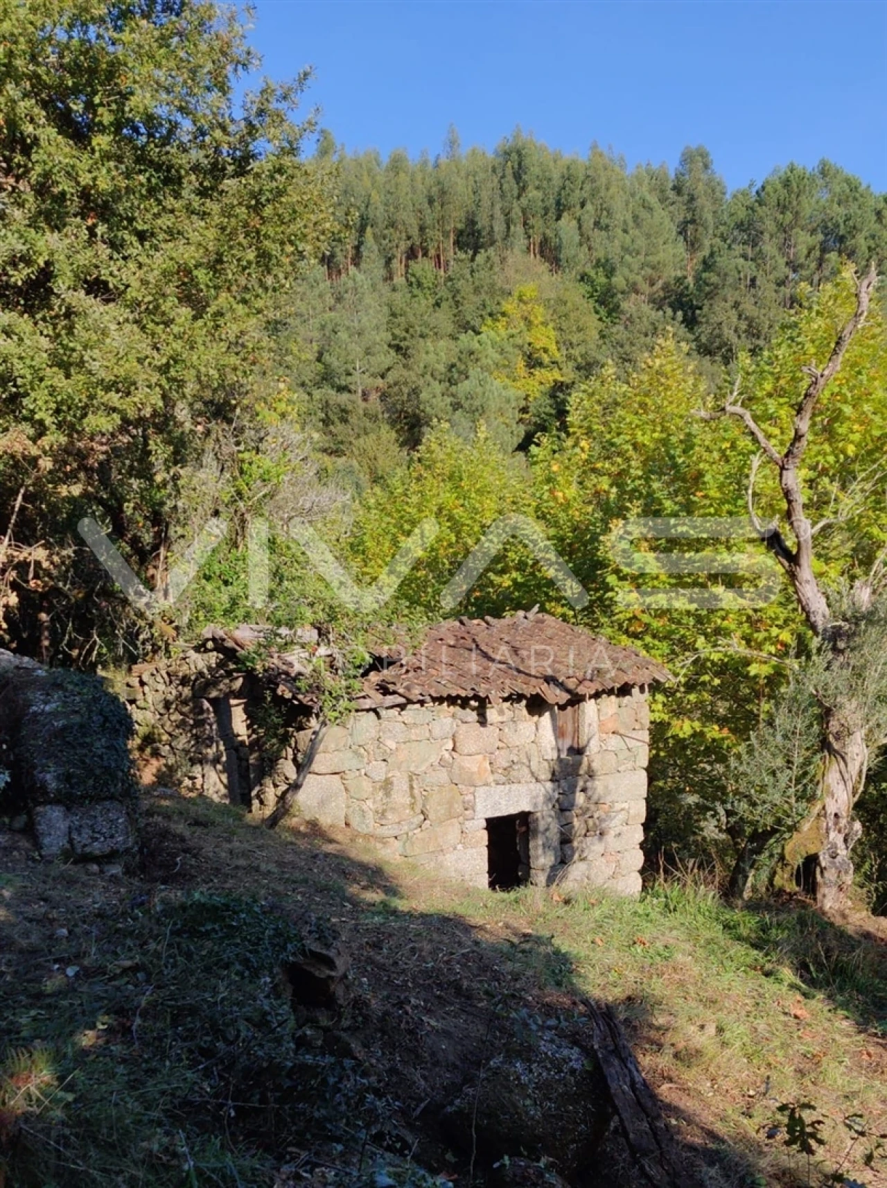 Moradia T1 para Venda em Valdosende Foto 53