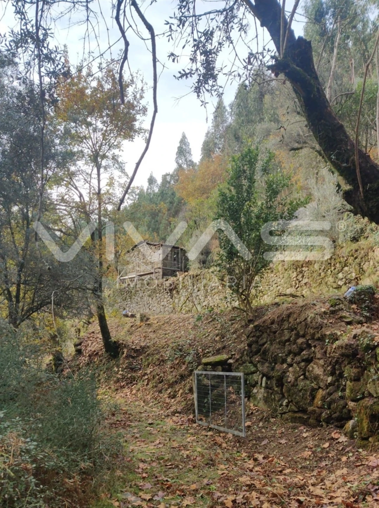 Moradia T1 para Venda em Valdosende Foto 9