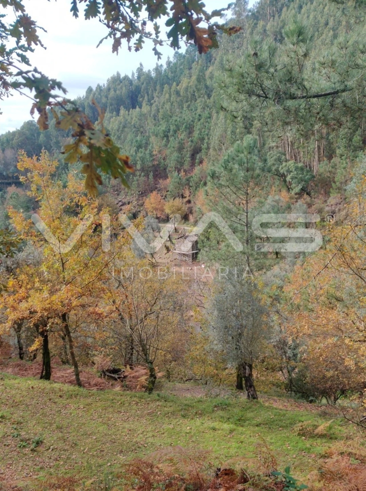 Moradia T1 para Venda em Valdosende Foto 16