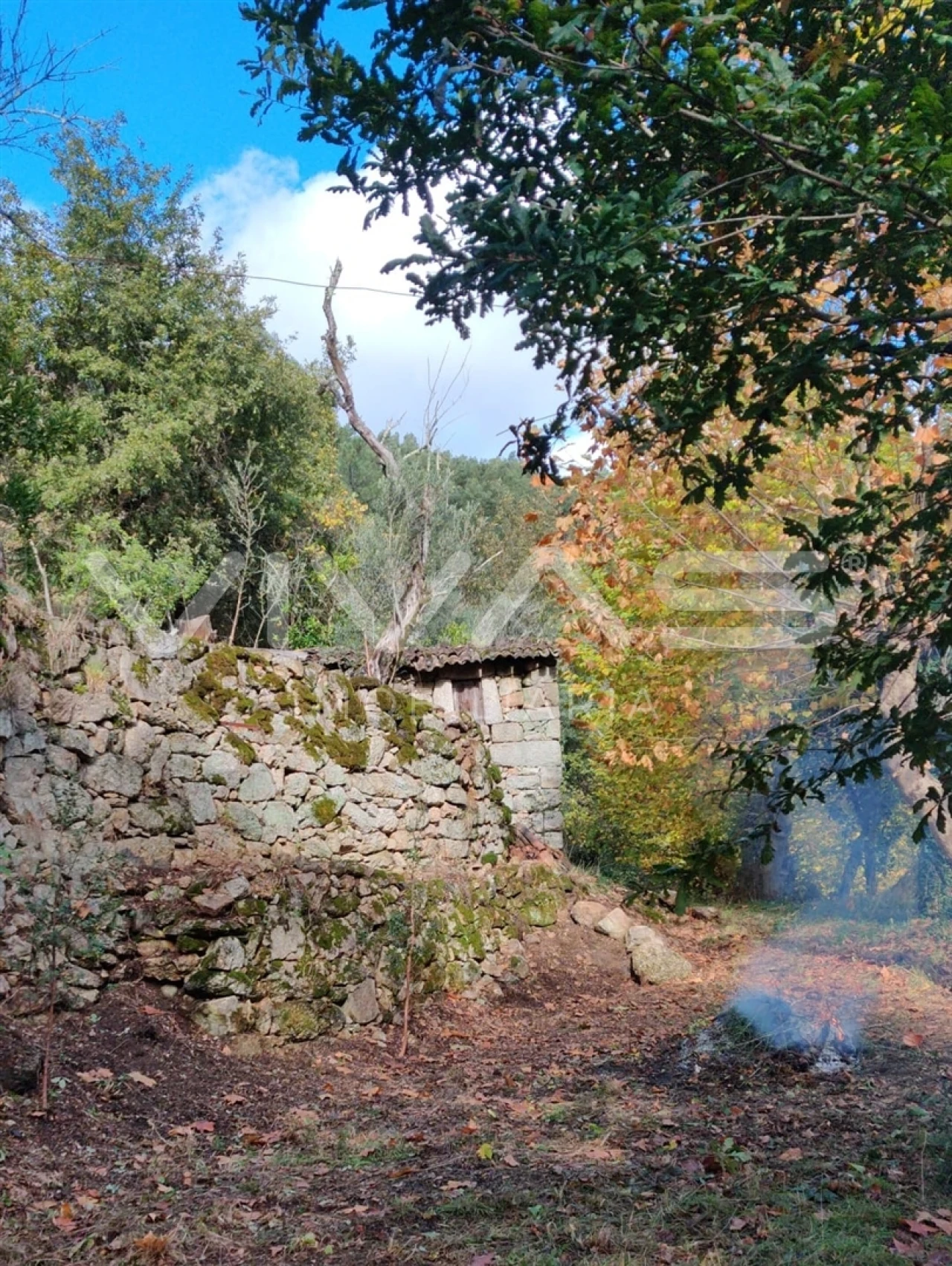 Moradia T1 para Venda em Valdosende Foto 59