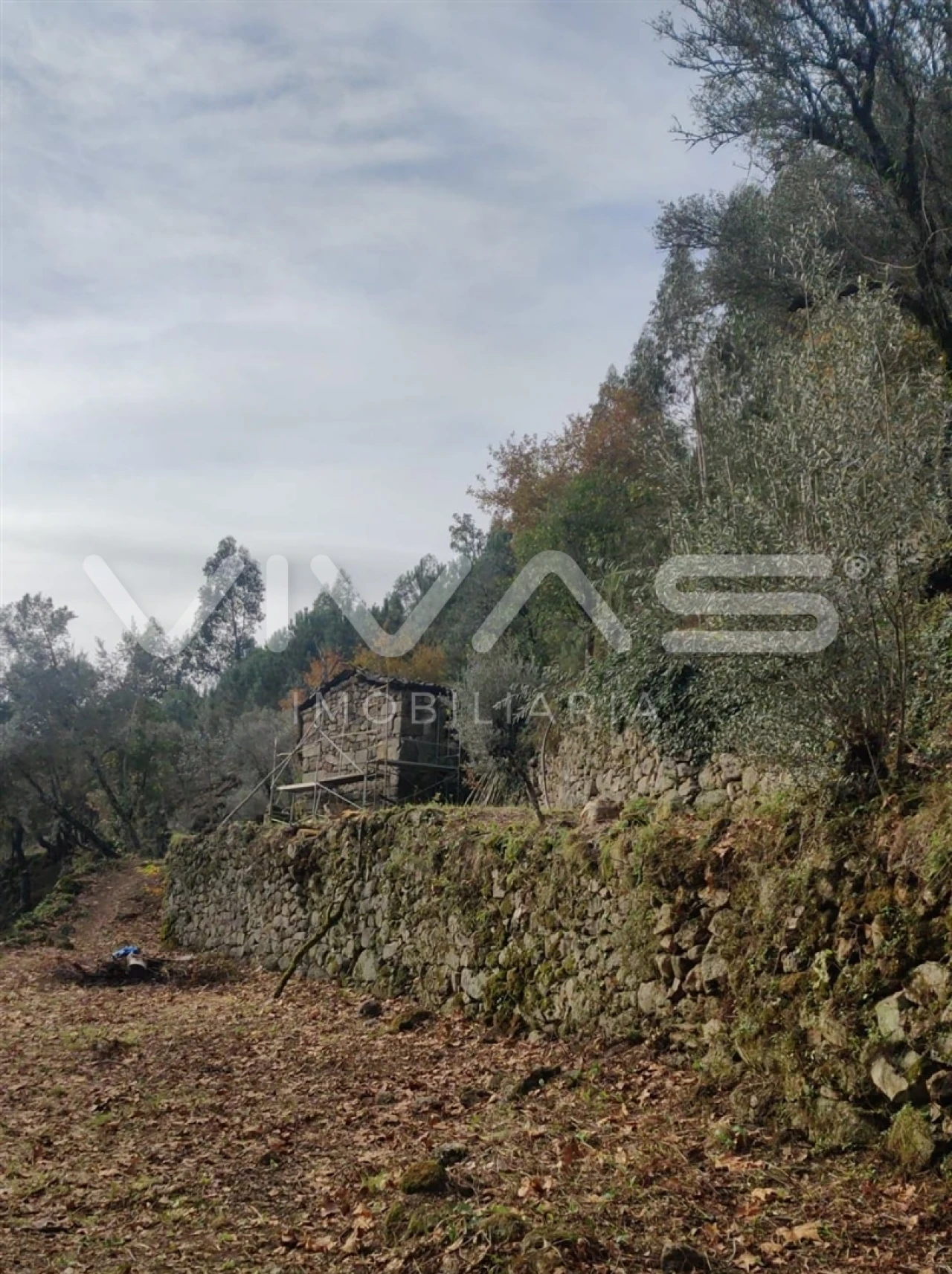 Moradia T1 para Venda em Valdosende Foto 6