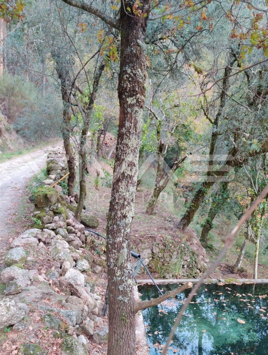 Moradia T1 para Venda em Valdosende Foto 44