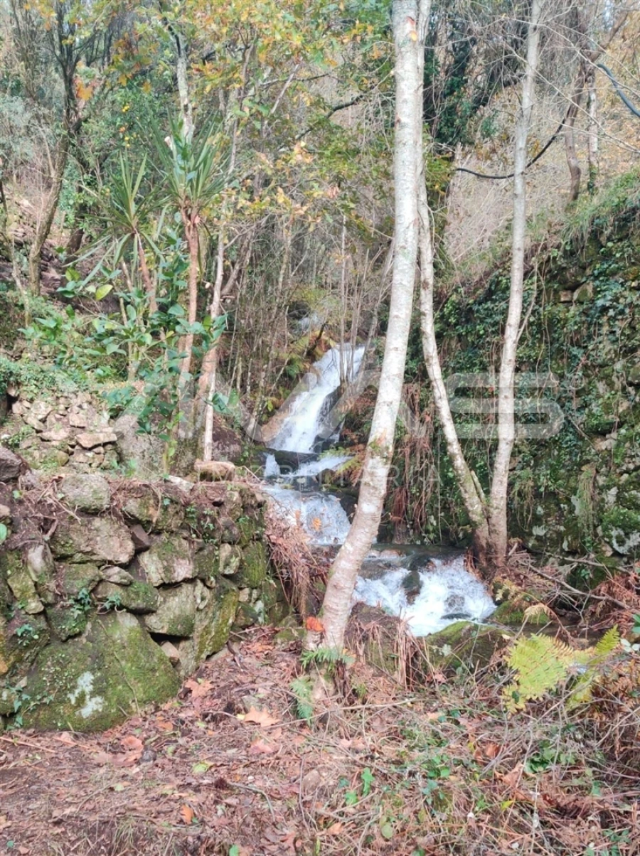 Moradia T1 para Venda em Valdosende Foto 11