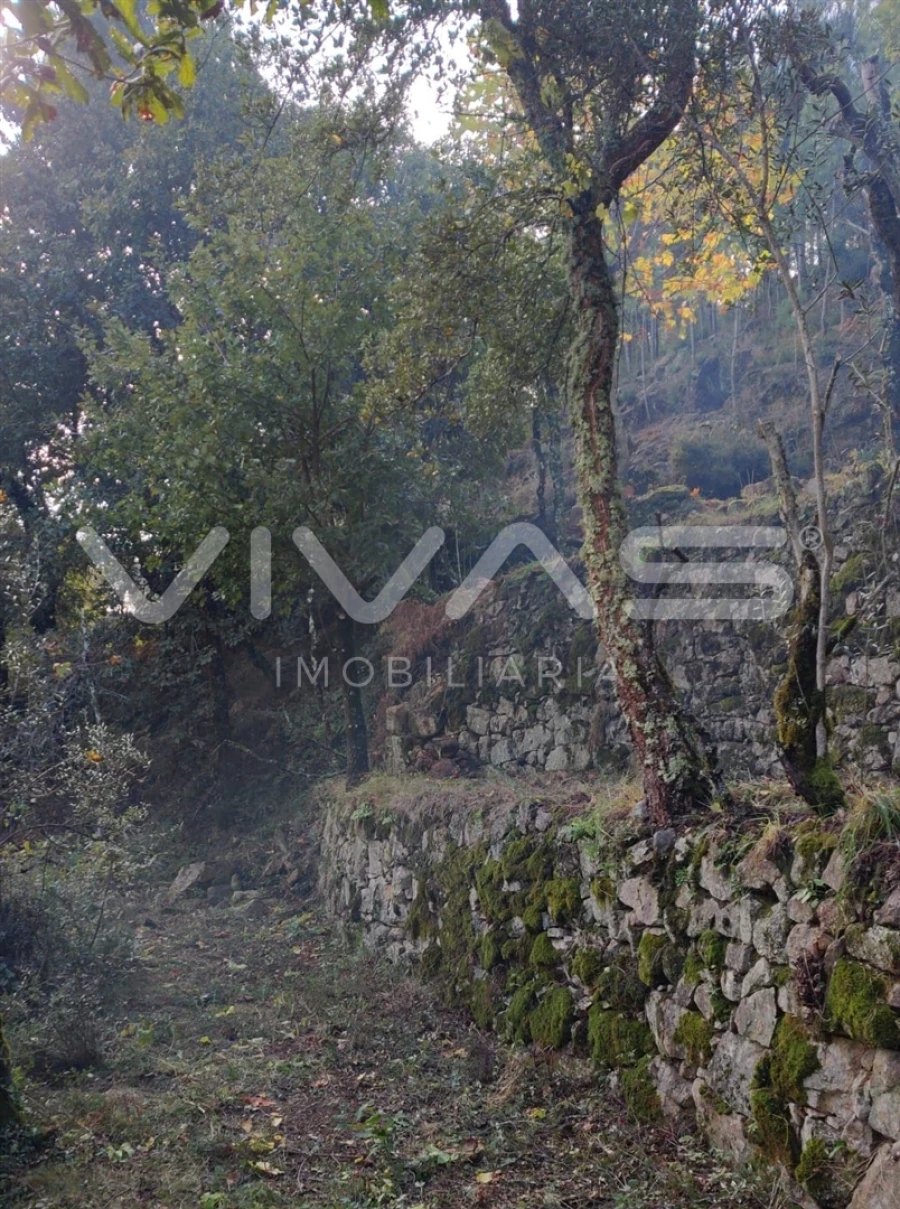 Moradia T1 para Venda em Valdosende Foto 57