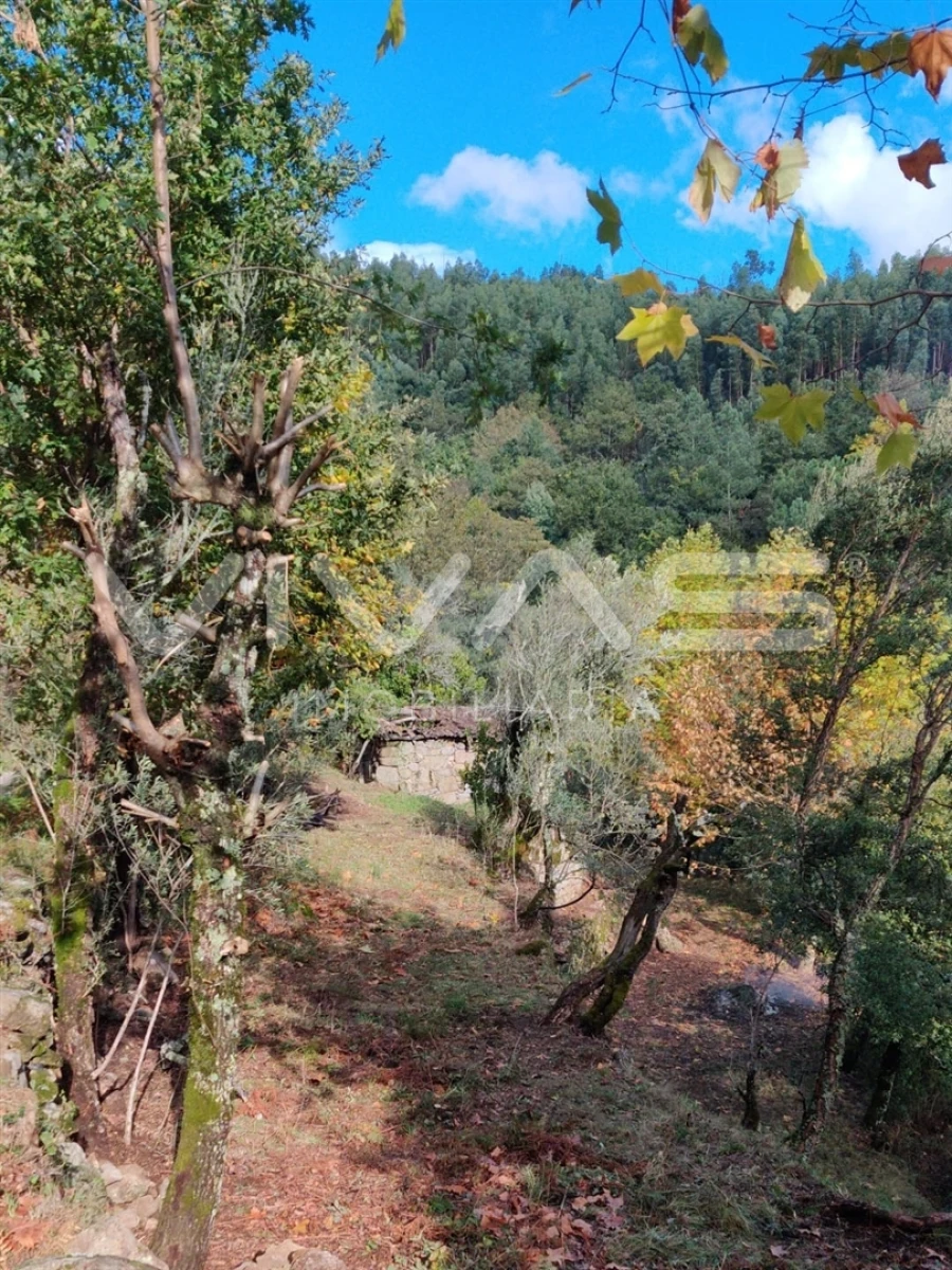 Moradia T1 para Venda em Valdosende Foto 64