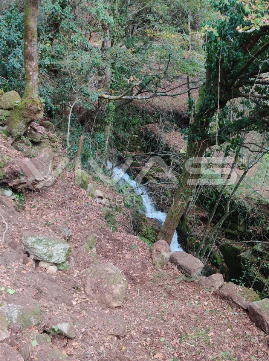 Moradia T1 para Venda em Valdosende Foto 39