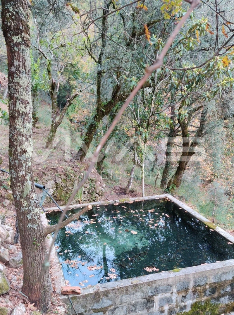 Moradia T1 para Venda em Valdosende Foto 46