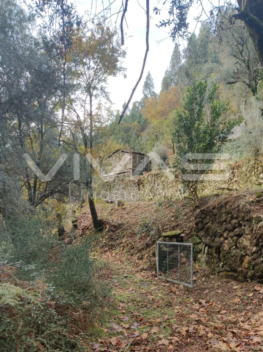 Moradia T1 para Venda em Valdosende Foto 12