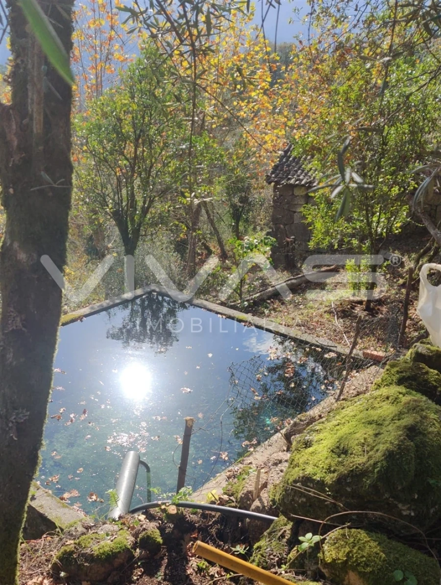 Moradia T1 para Venda em Valdosende Foto 35