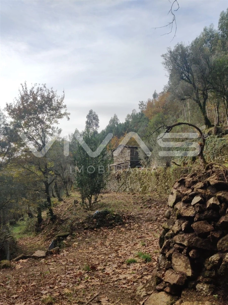 Moradia T1 para Venda em Valdosende Foto 5