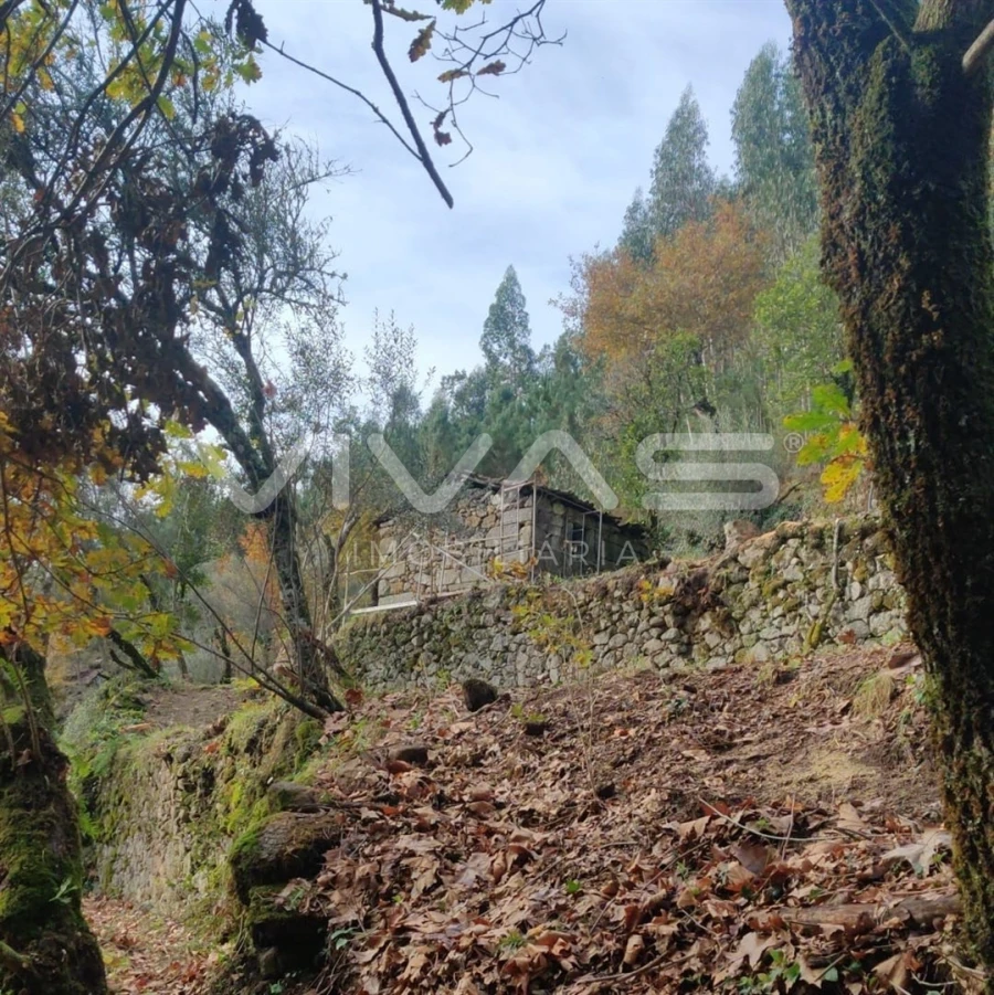 Moradia T1 para Venda em Valdosende Foto 1