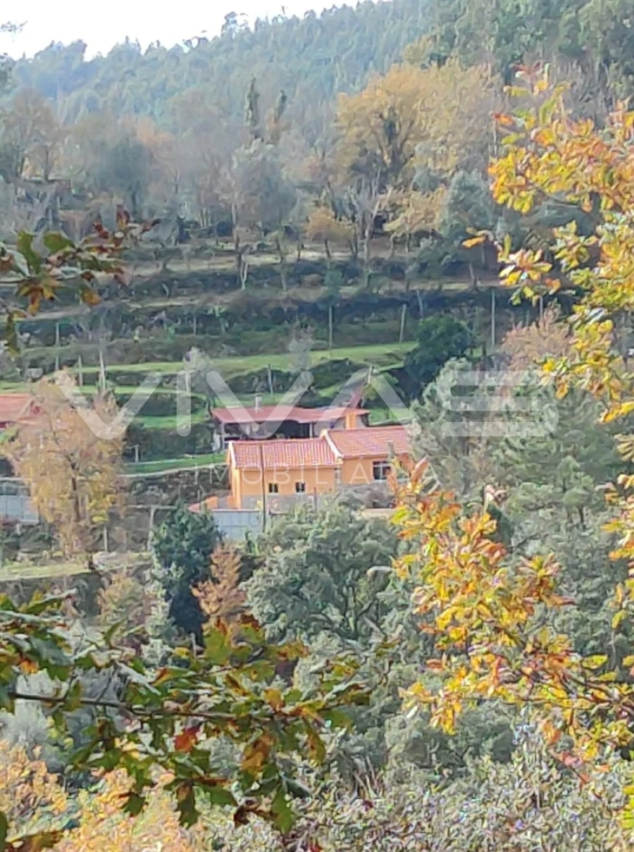 Moradia T1 para Venda em Valdosende Foto 19