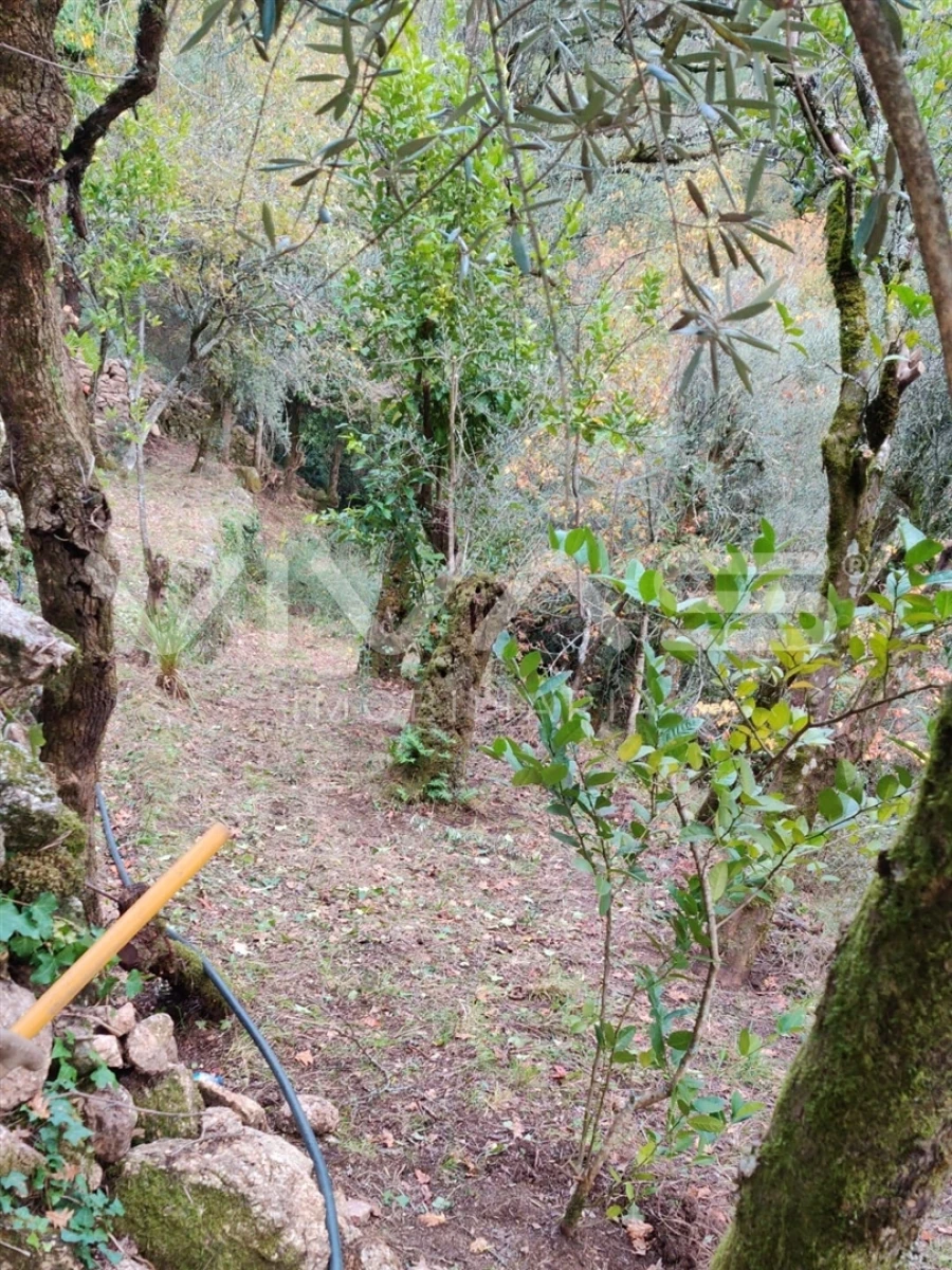 Moradia T1 para Venda em Valdosende Foto 50