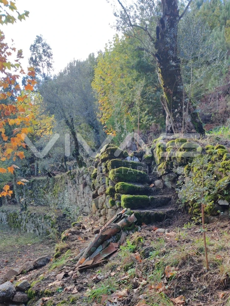 Moradia T1 para Venda em Valdosende Foto 63