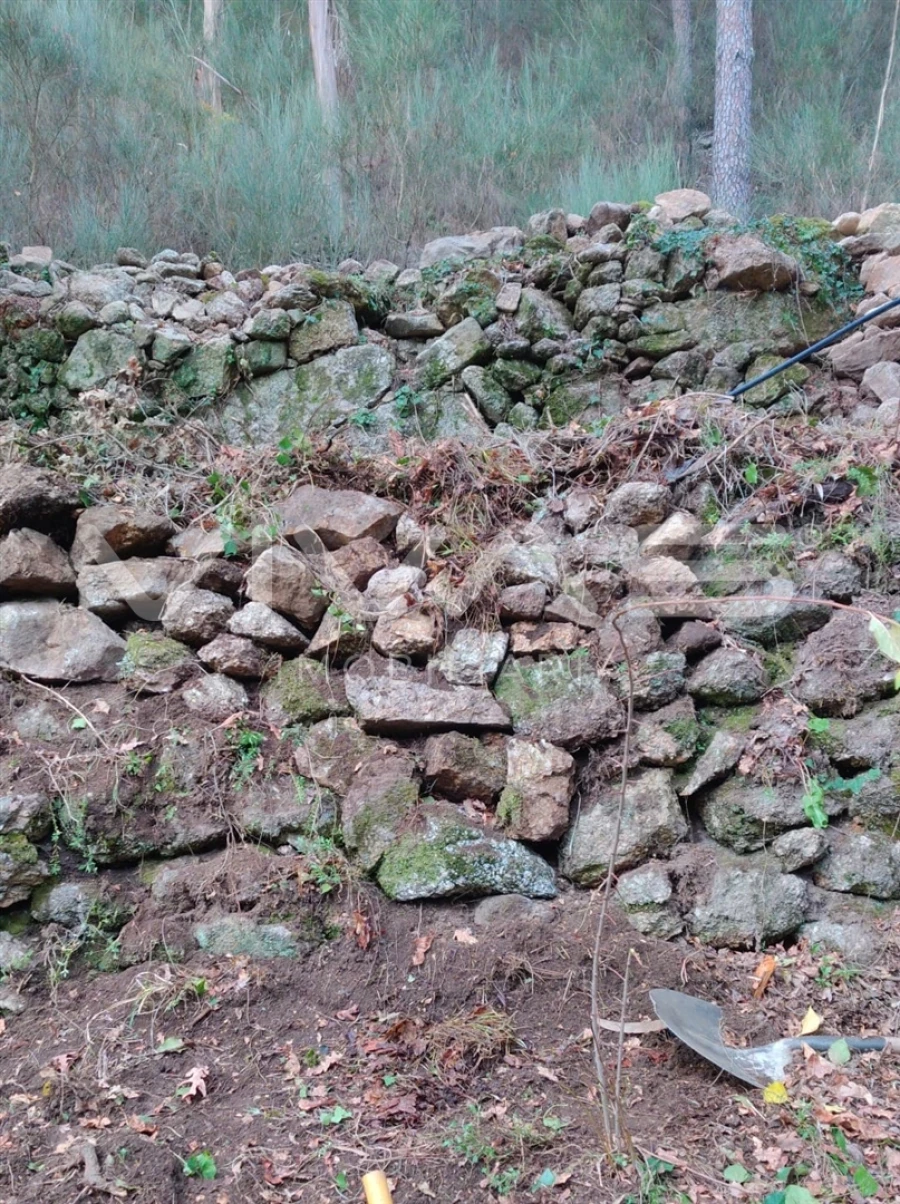 Moradia T1 para Venda em Valdosende Foto 45