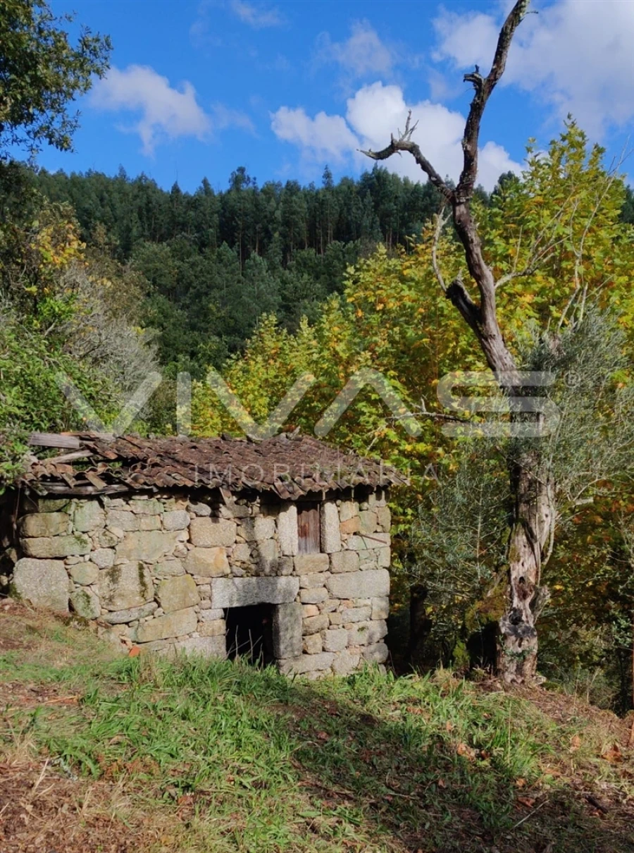 Moradia T1 para Venda em Valdosende Foto 62