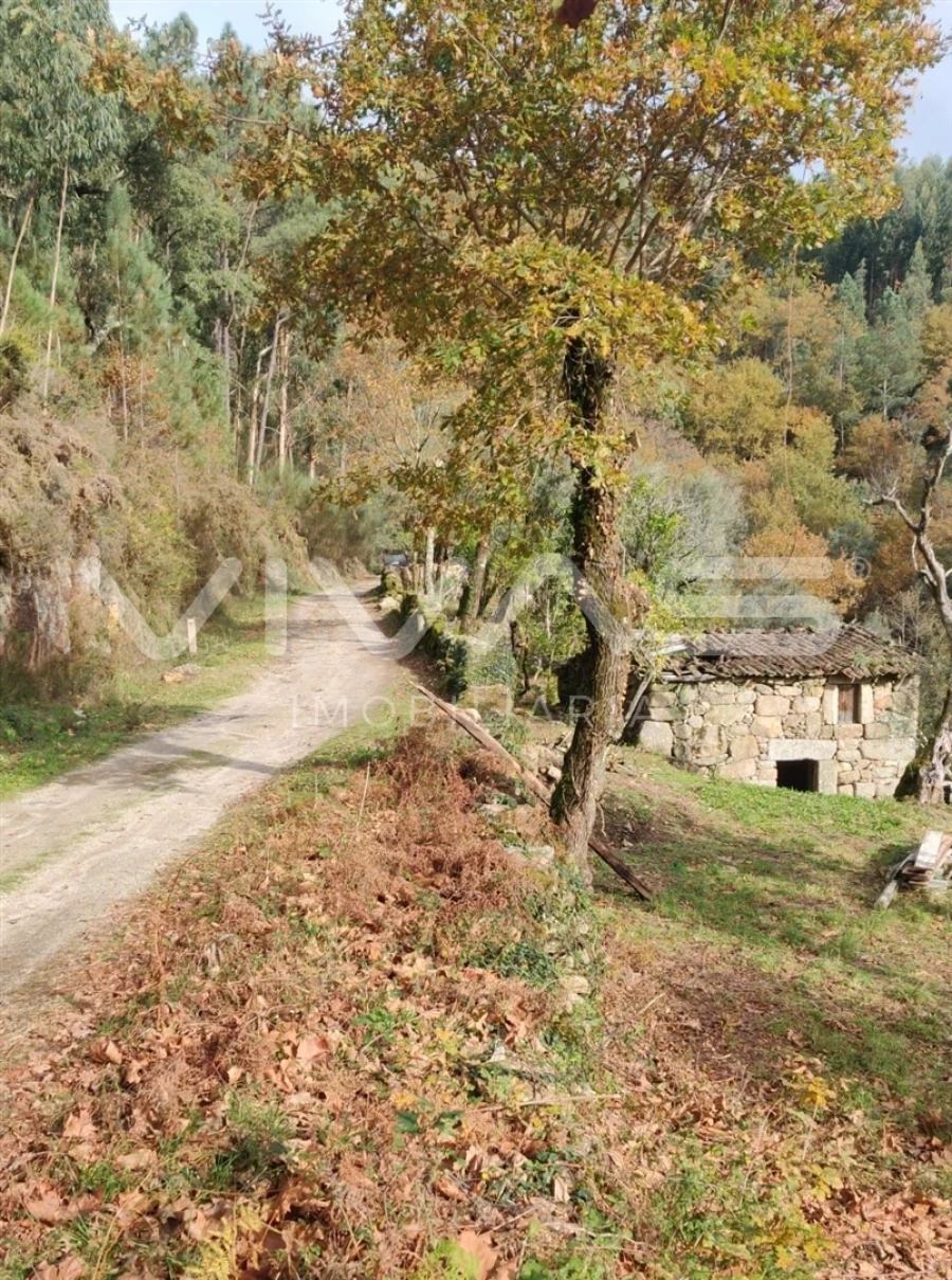 Moradia T1 para Venda em Valdosende Foto 4