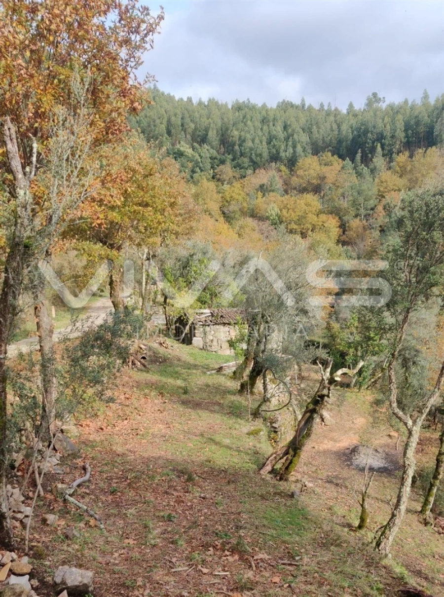 Moradia T1 para Venda em Valdosende Foto 3