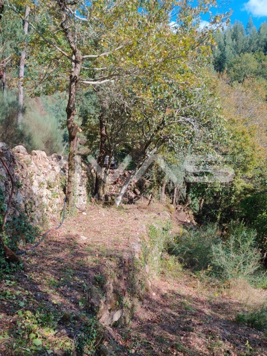 Moradia T1 para Venda em Valdosende Foto 38