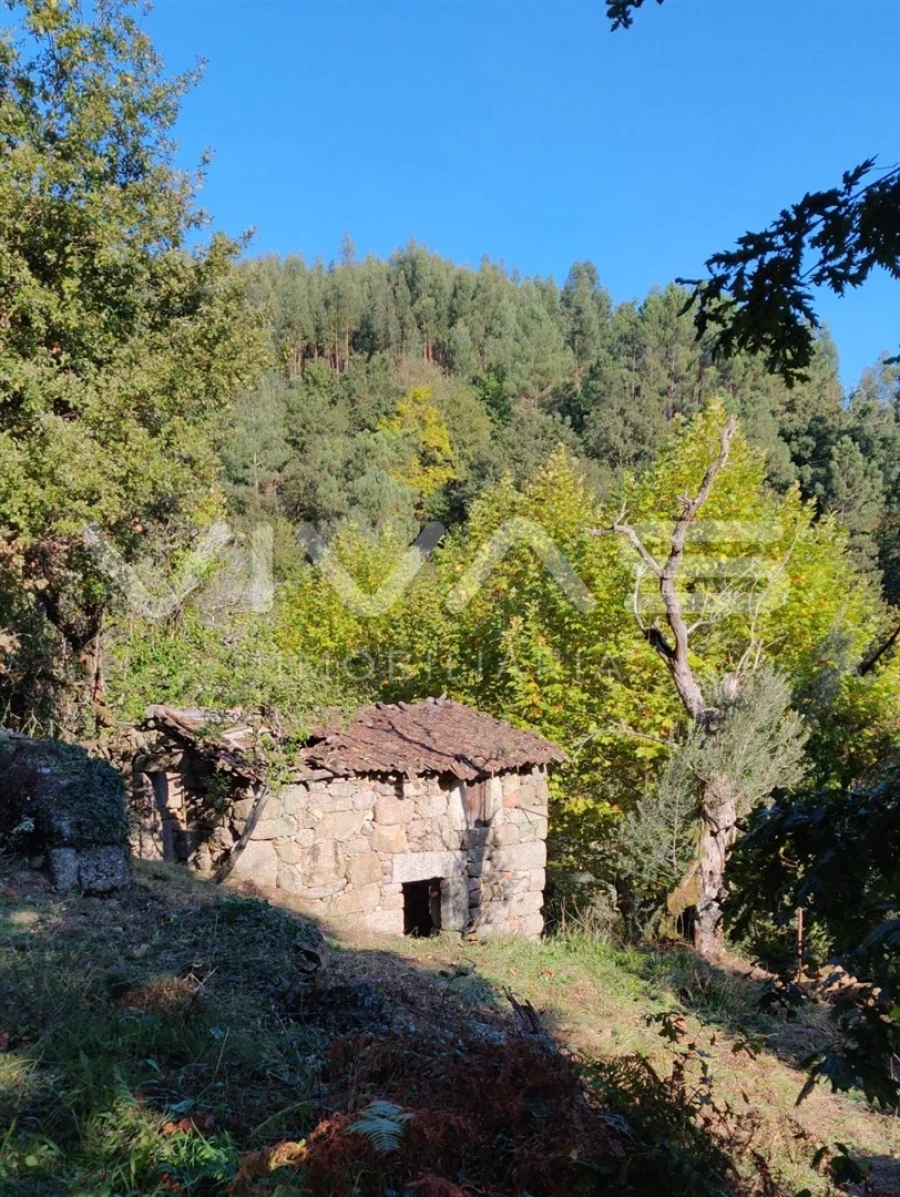 Moradia T1 para Venda em Valdosende Foto 54