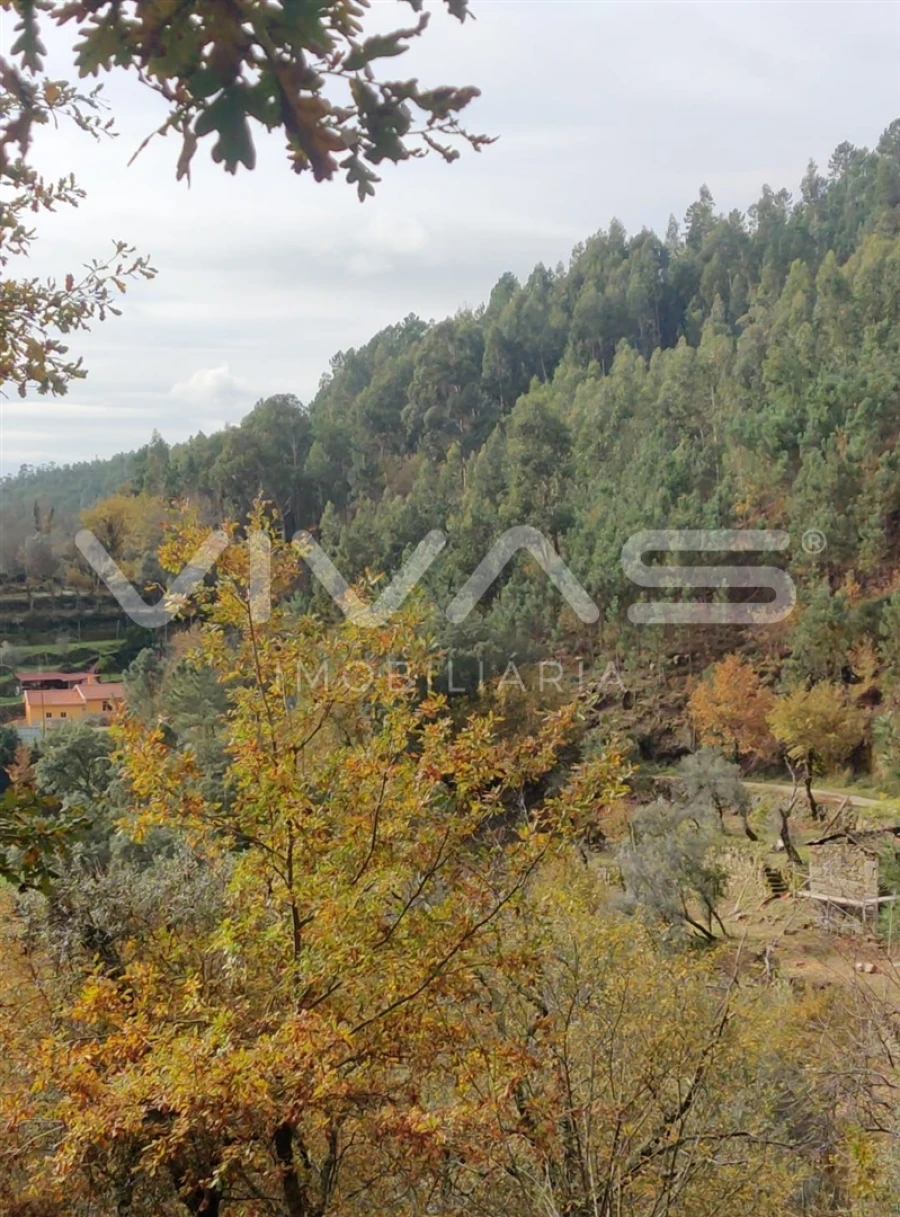 Moradia T1 para Venda em Valdosende Foto 23