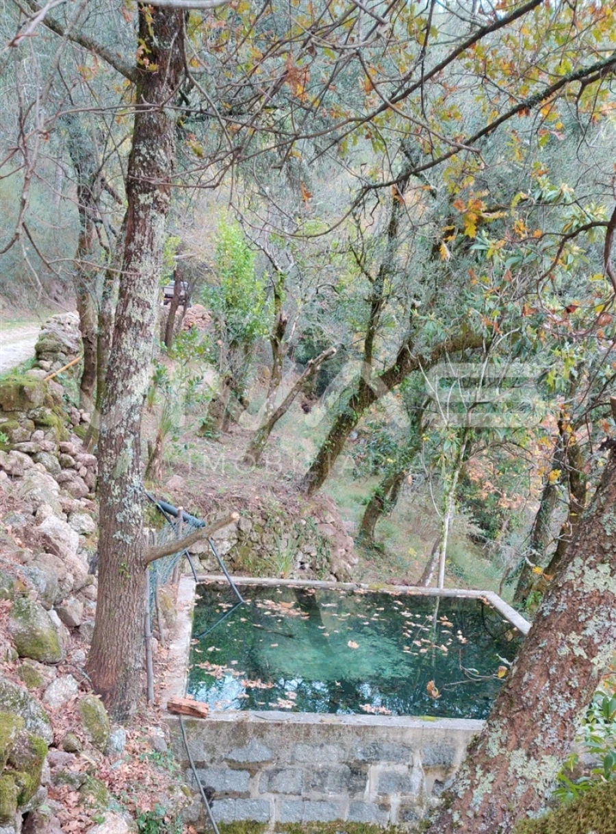 Moradia T1 para Venda em Valdosende Foto 43