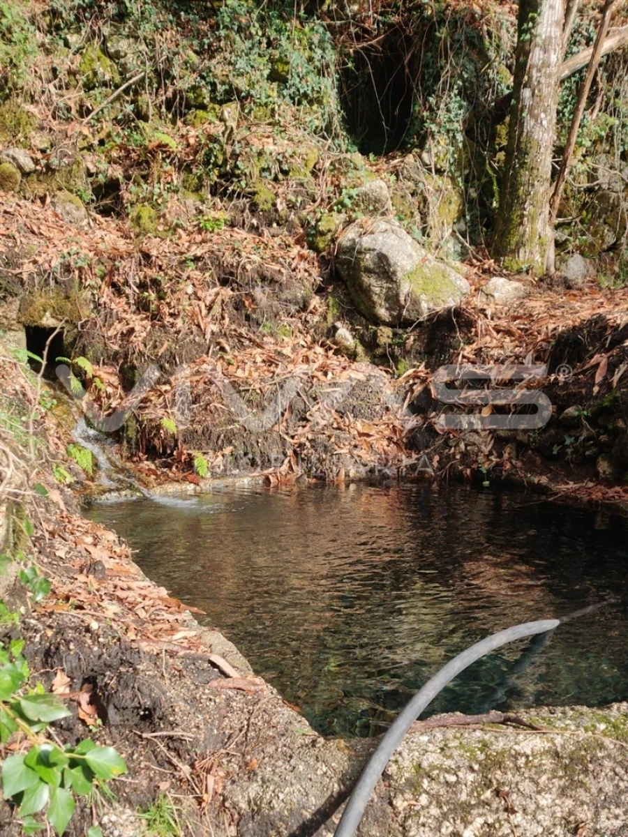 Moradia T1 para Venda em Valdosende Foto 27