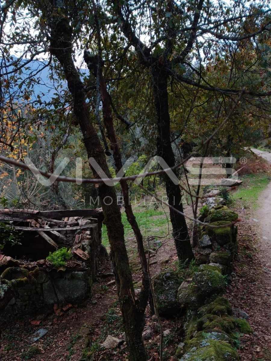 Moradia T1 para Venda em Valdosende Foto 48