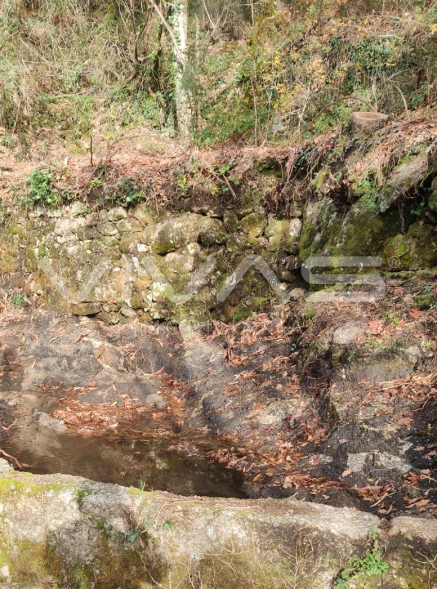 Moradia T1 para Venda em Valdosende Foto 24