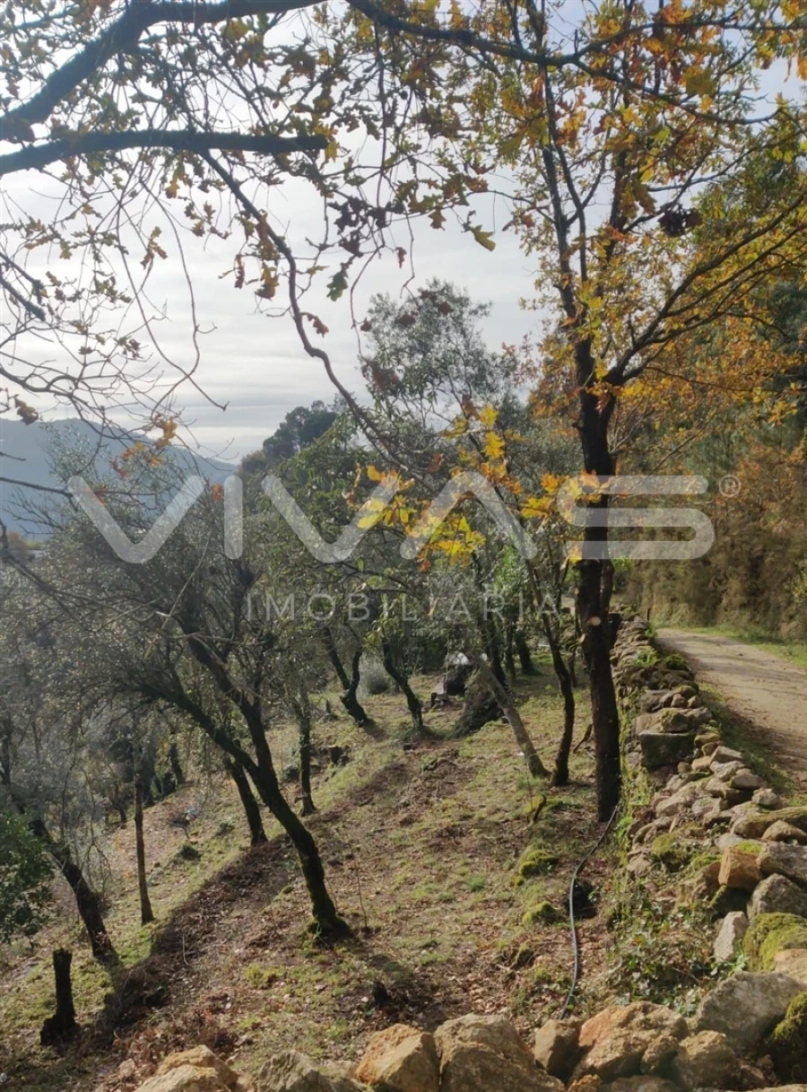 Moradia T1 para Venda em Valdosende Foto 65