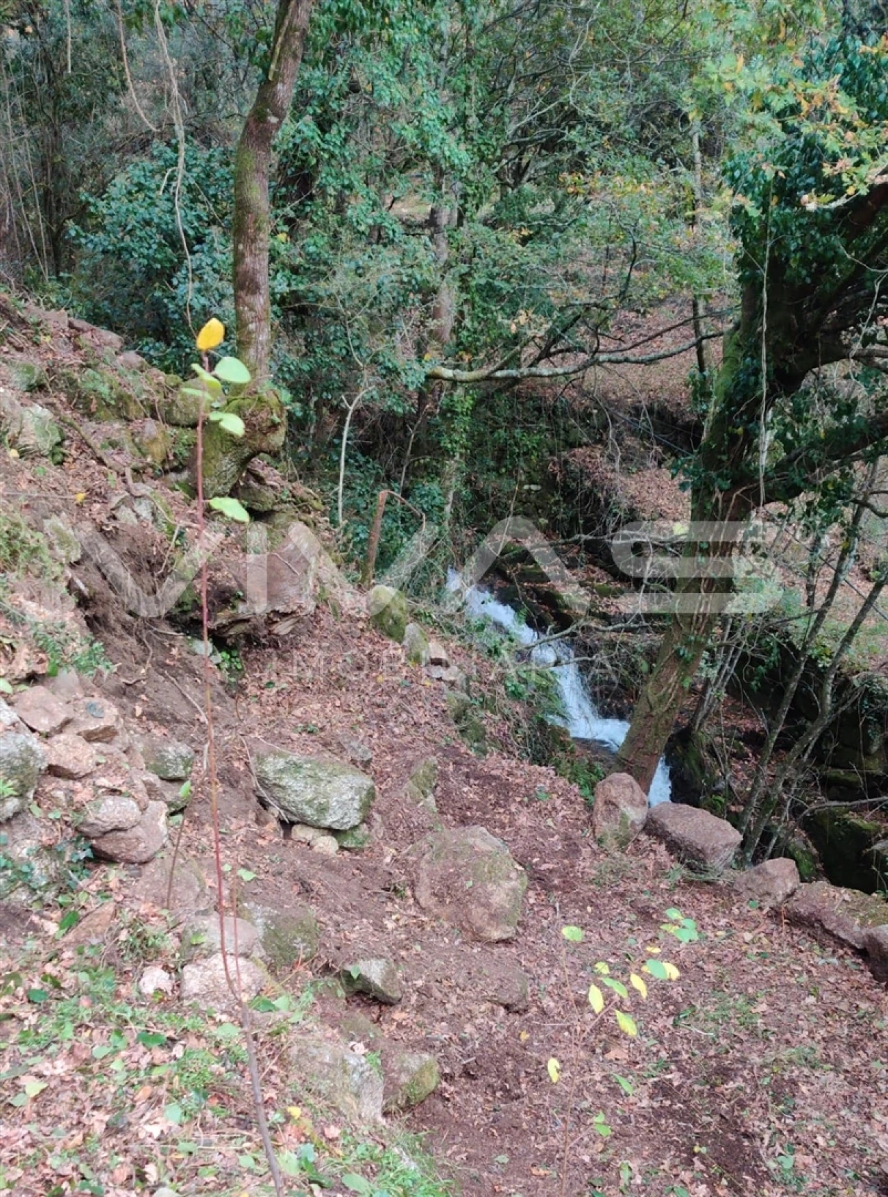 Moradia T1 para Venda em Valdosende Foto 37