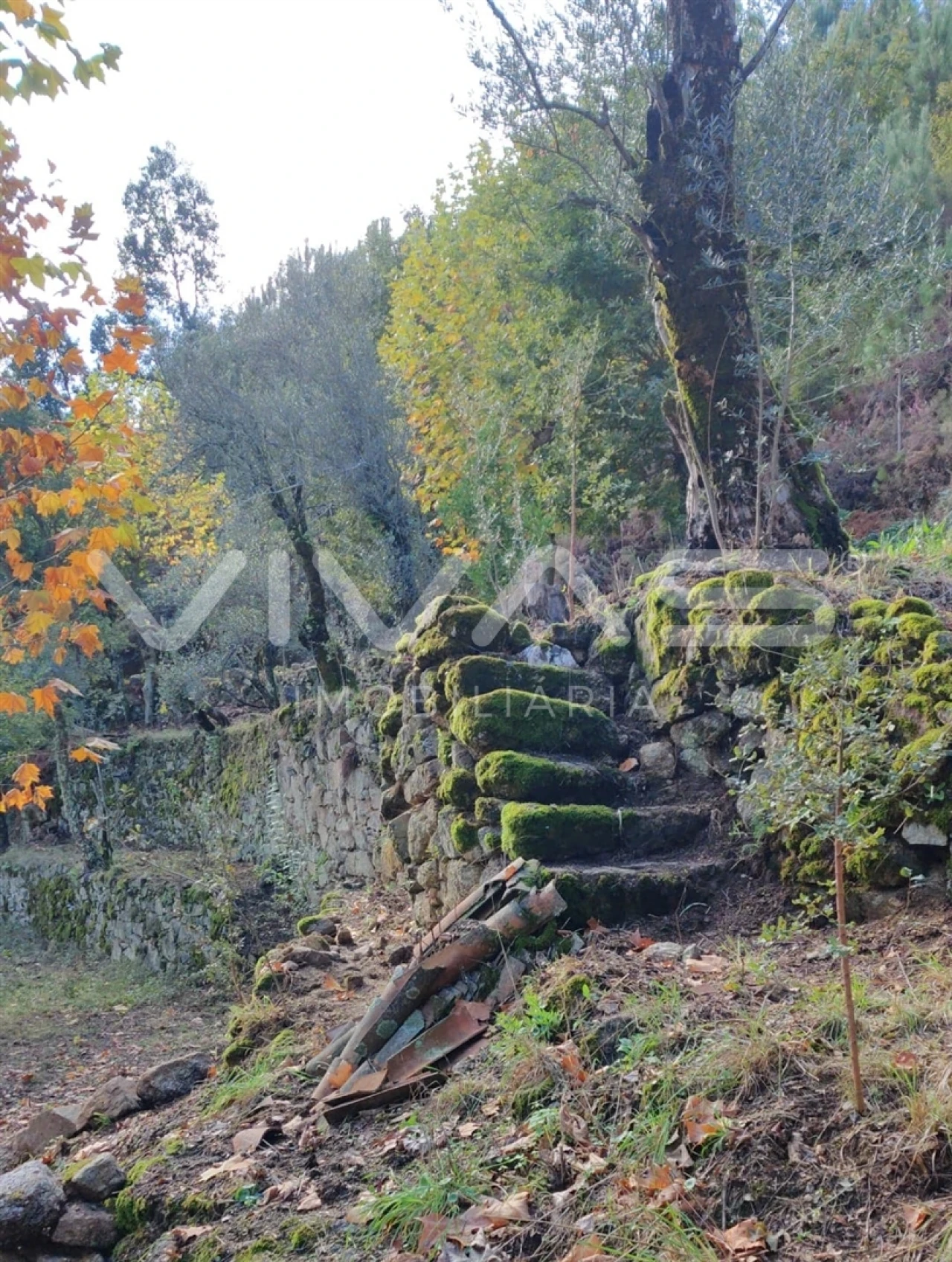 Moradia T1 para Venda em Valdosende Foto 63