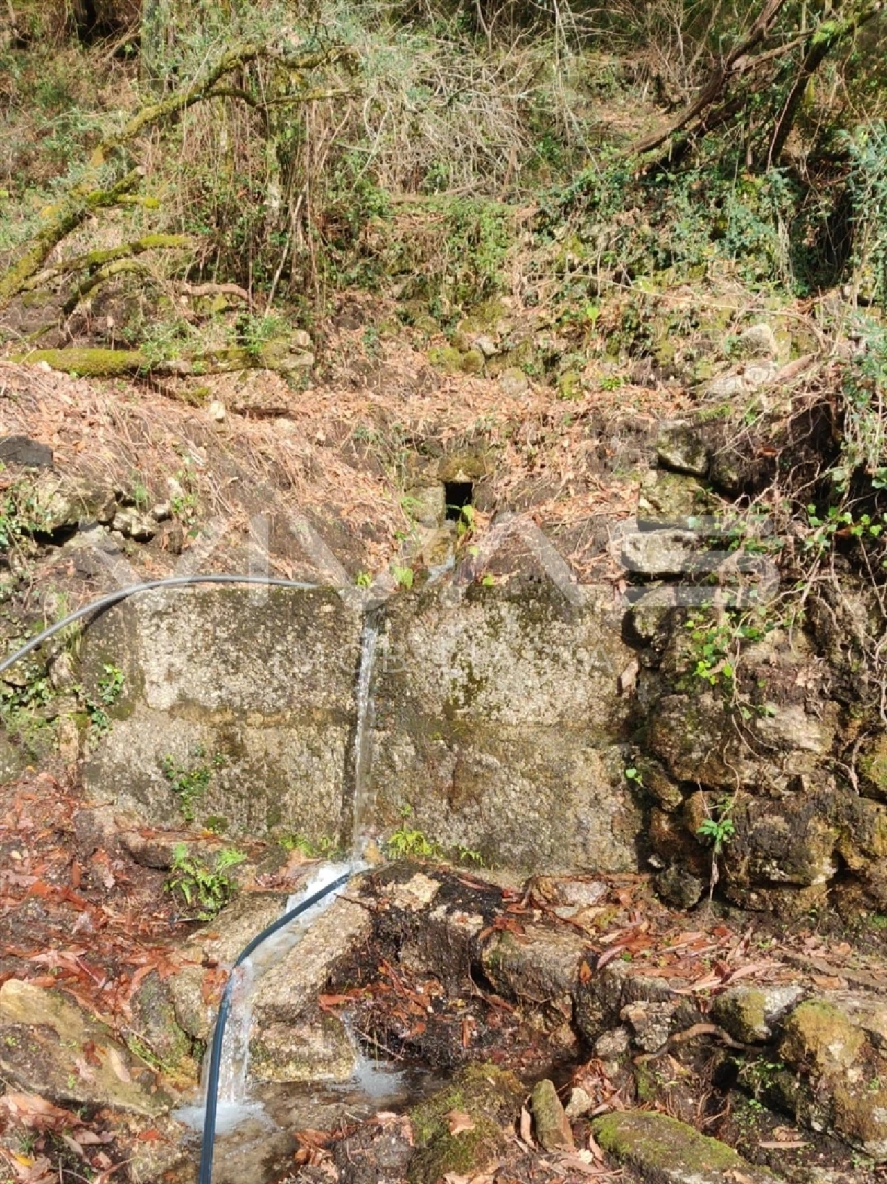 Moradia T1 para Venda em Valdosende Foto 25