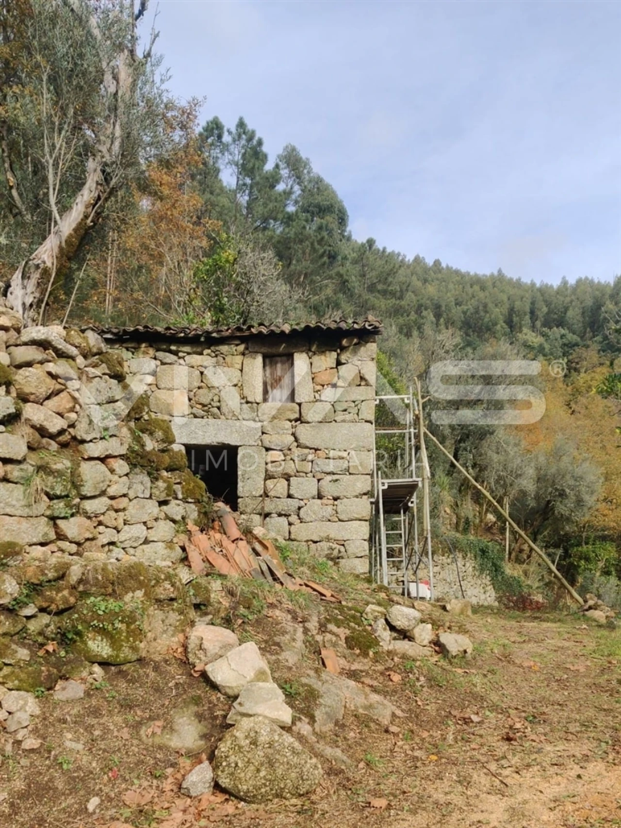 Moradia T1 para Venda em Valdosende Foto 14