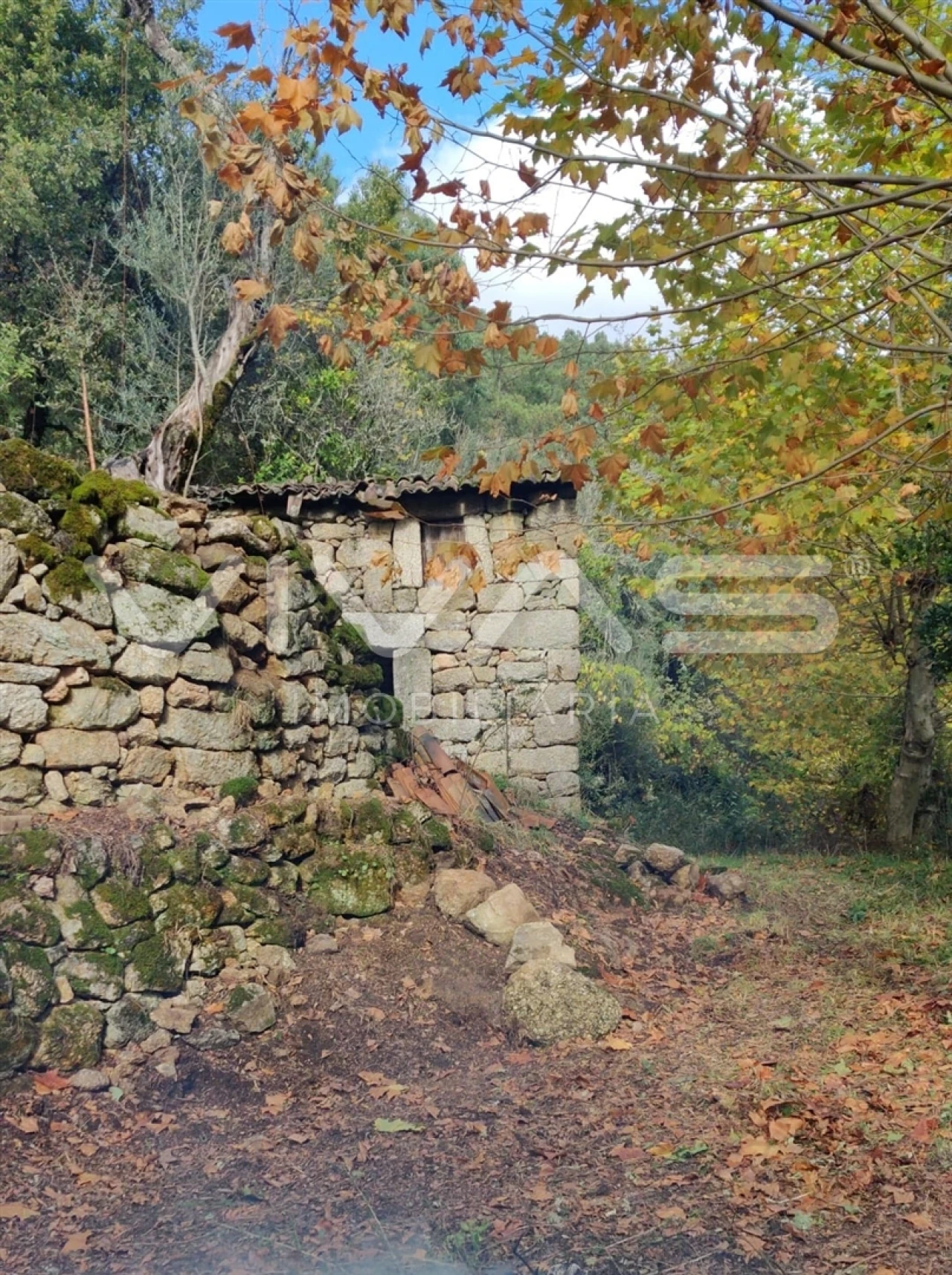 Moradia T1 para Venda em Valdosende Foto 60