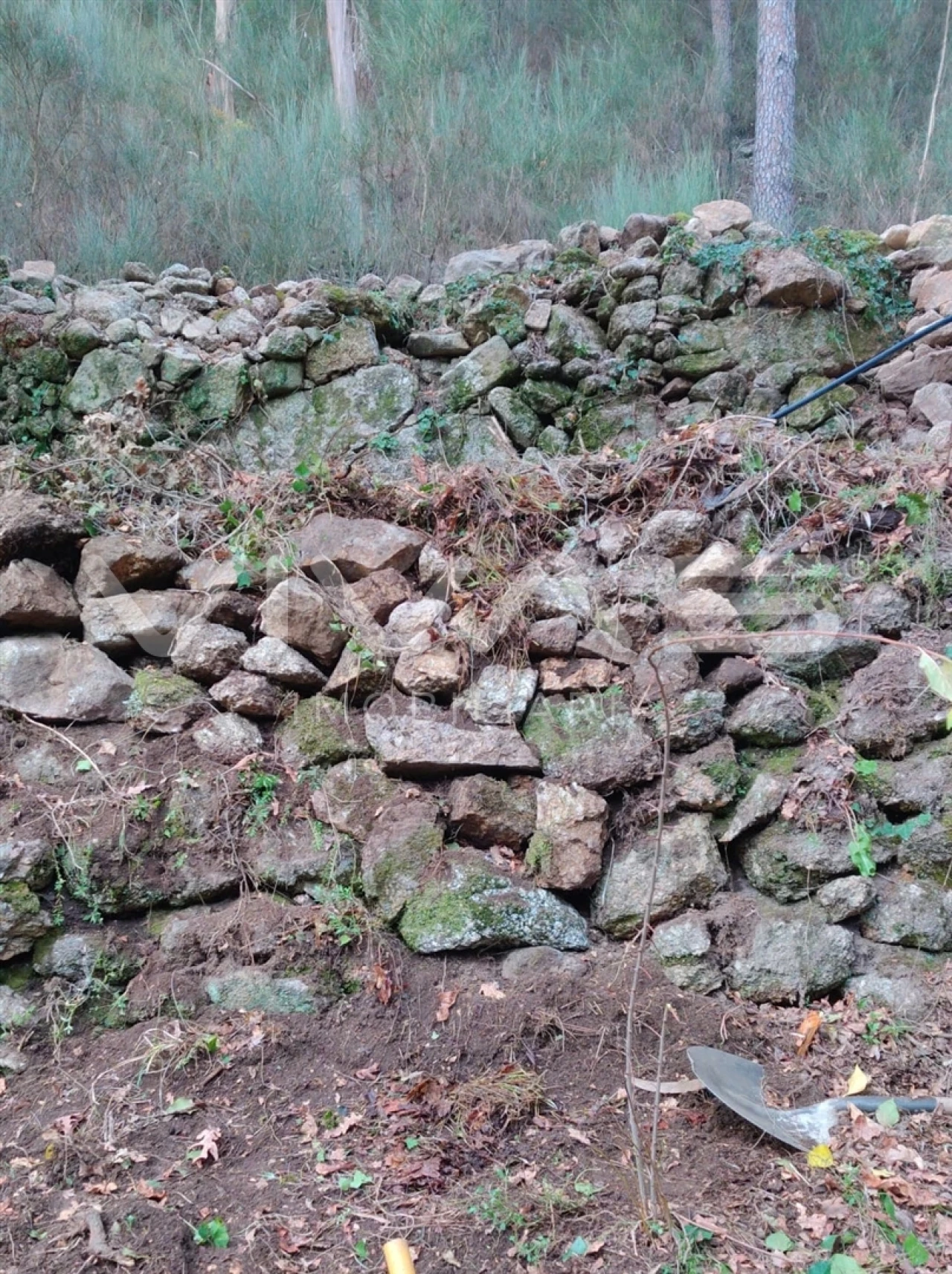 Moradia T1 para Venda em Valdosende Foto 45