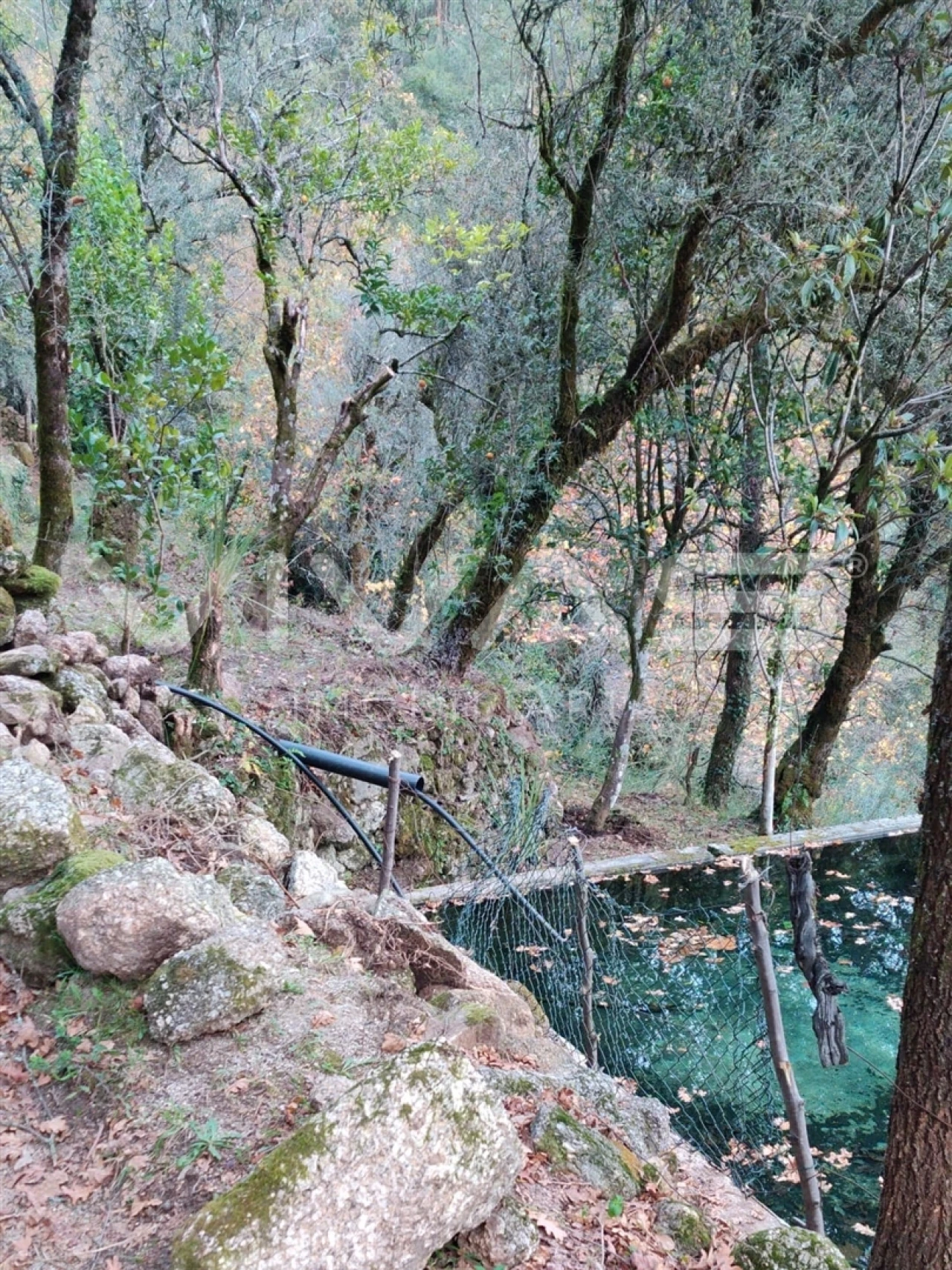 Moradia T1 para Venda em Valdosende Foto 49