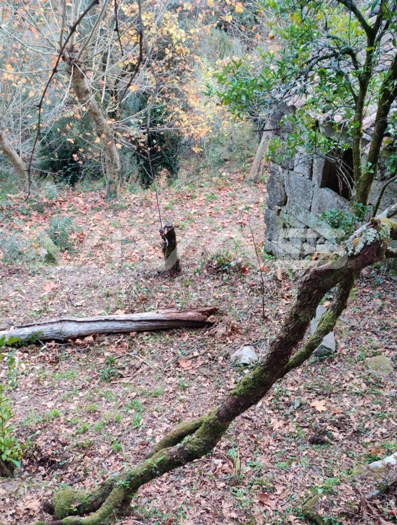 Moradia T1 para Venda em Valdosende Foto 42