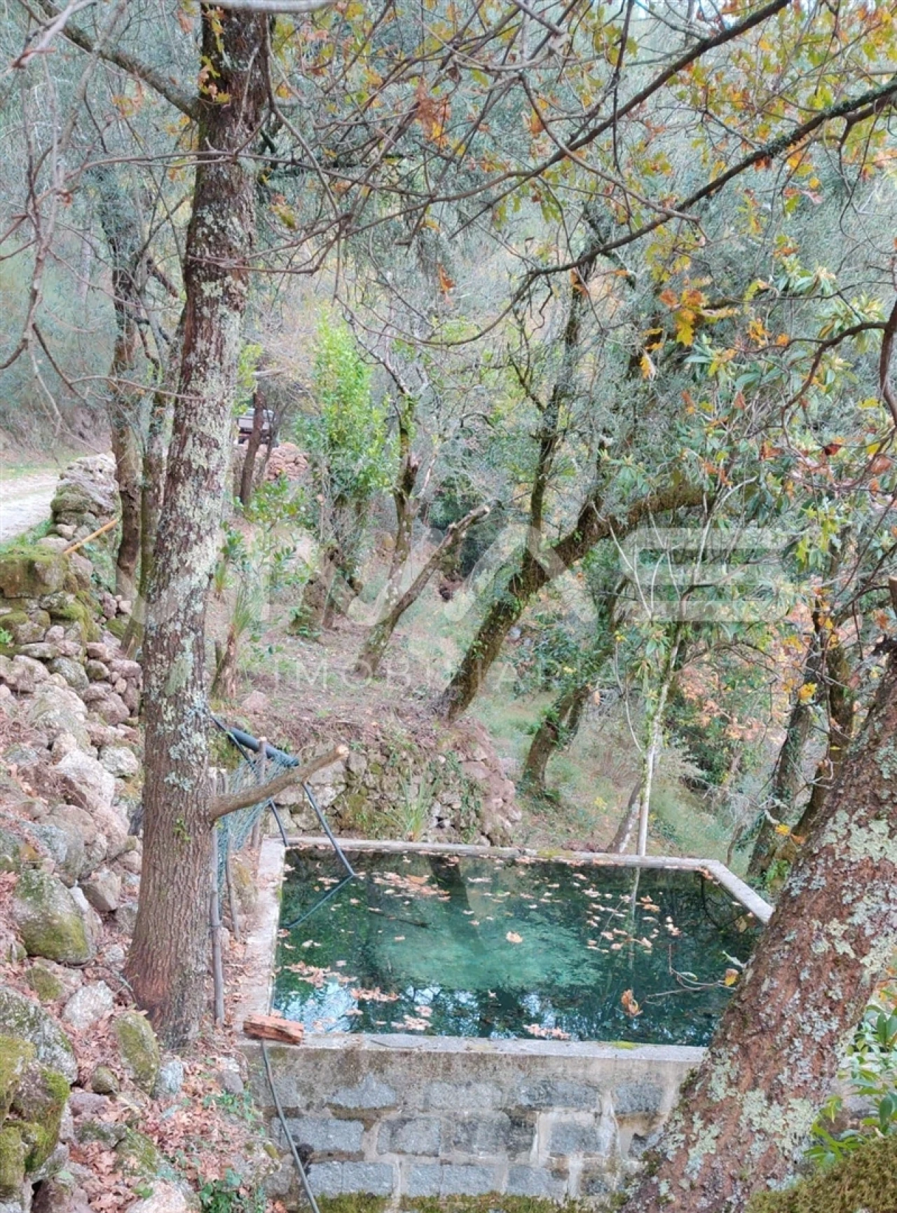 Moradia T1 para Venda em Valdosende Foto 43