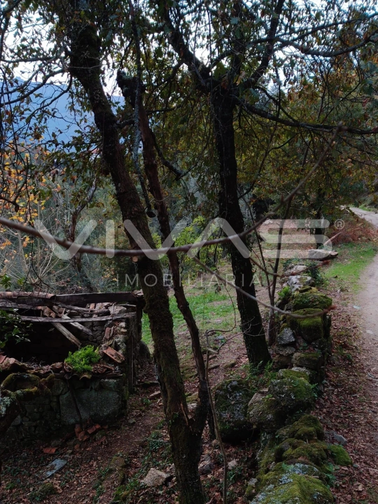 Moradia T1 para Venda em Valdosende Foto 48