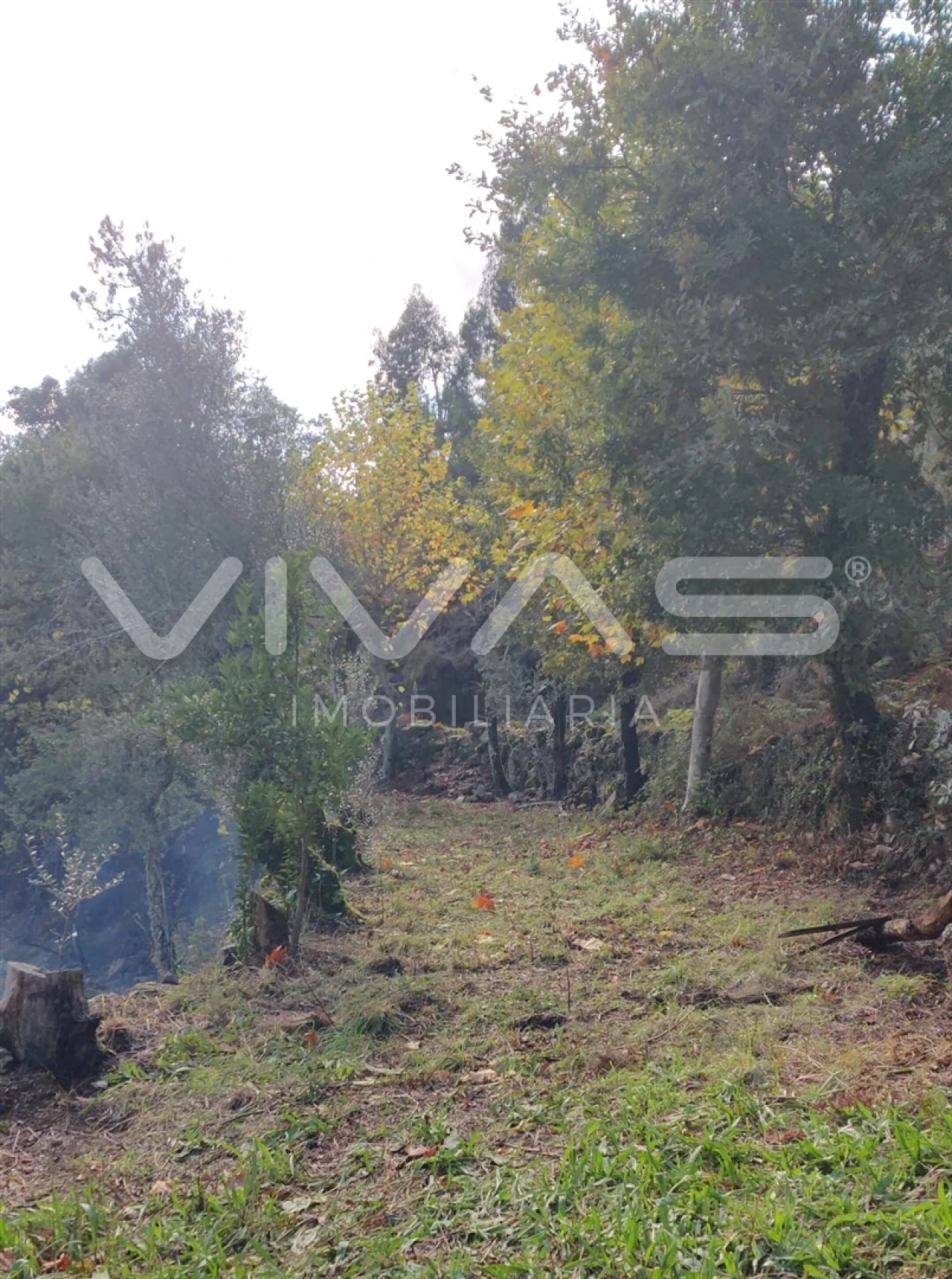 Moradia T1 para Venda em Valdosende Foto 58